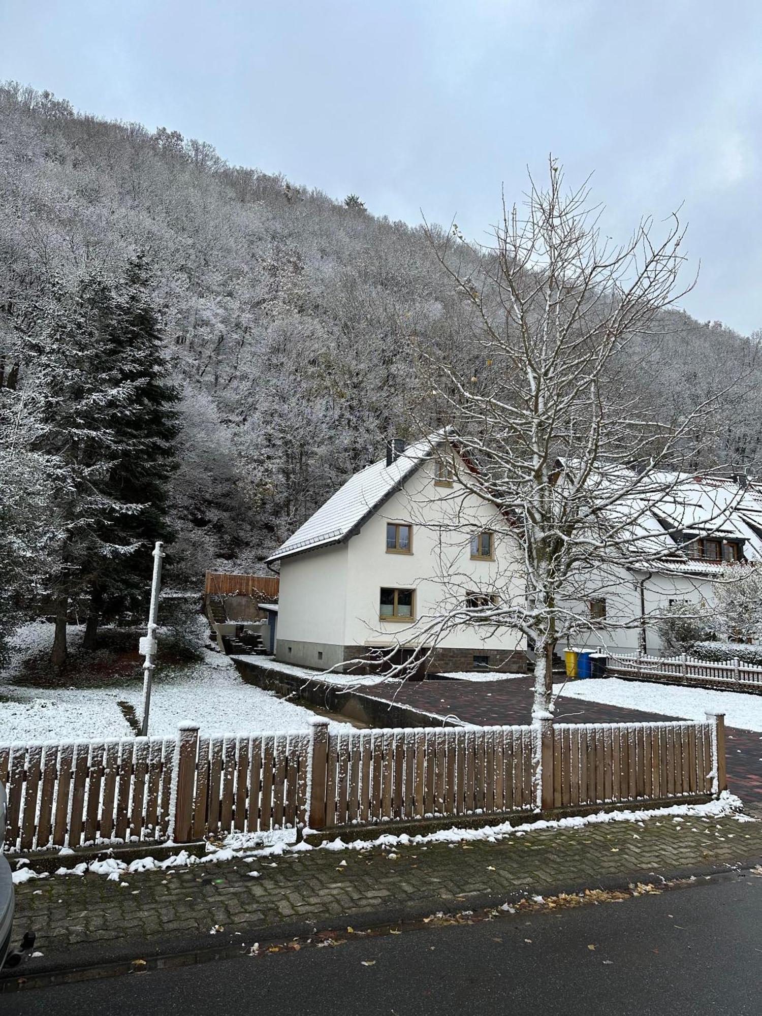 Ferienhaus Ginkgo Biloba Malsbenden Zewnętrze zdjęcie