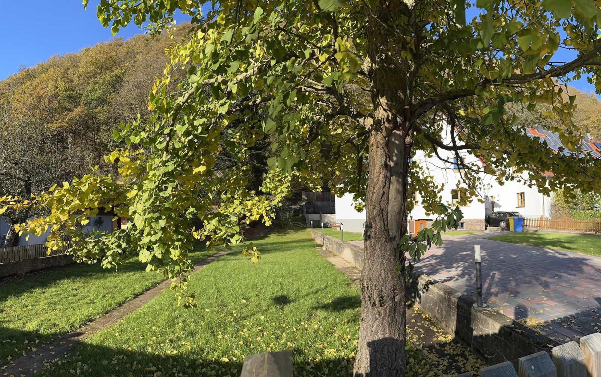Ferienhaus Ginkgo Biloba Malsbenden Zewnętrze zdjęcie