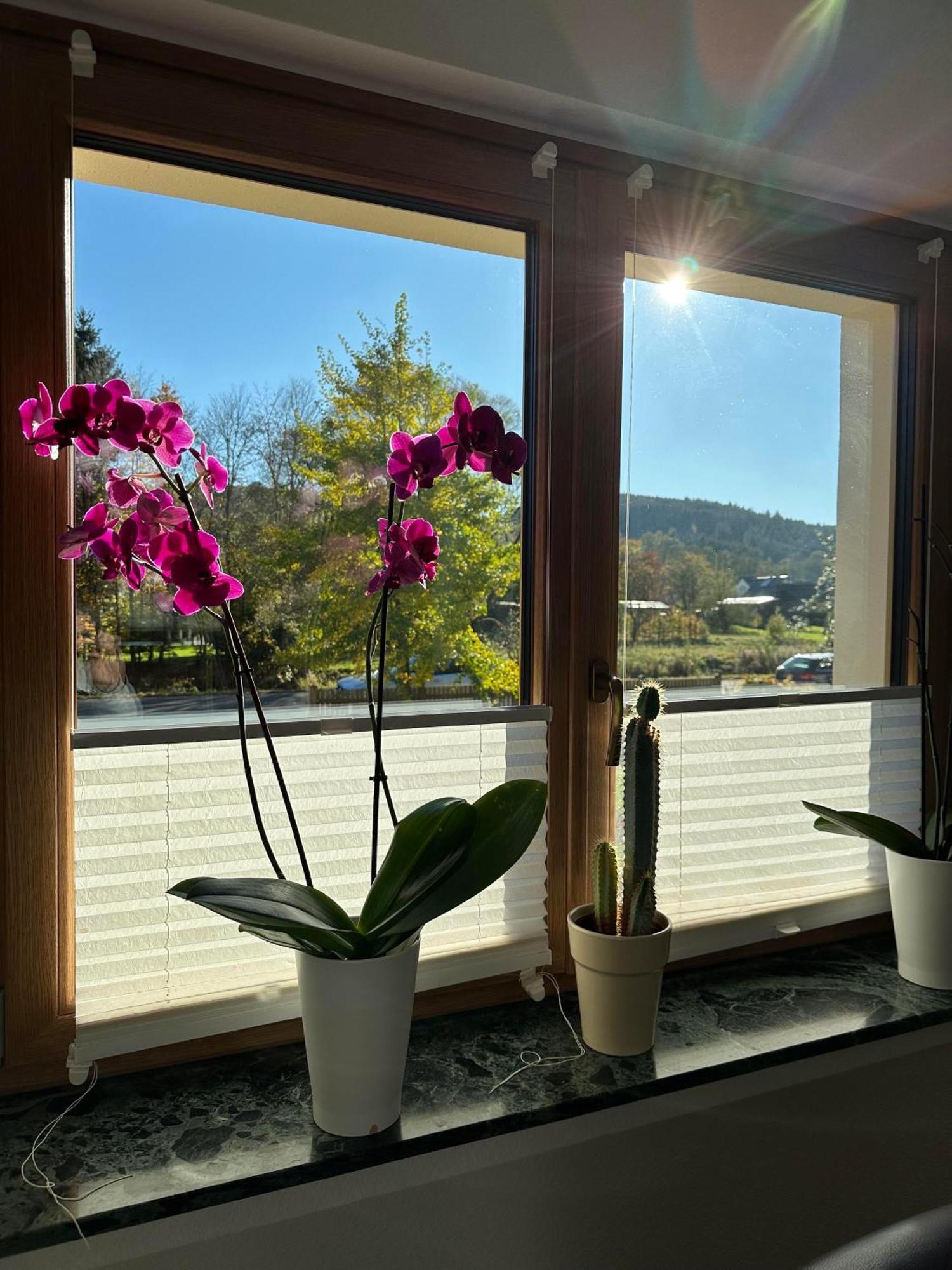 Ferienhaus Ginkgo Biloba Malsbenden Zewnętrze zdjęcie
