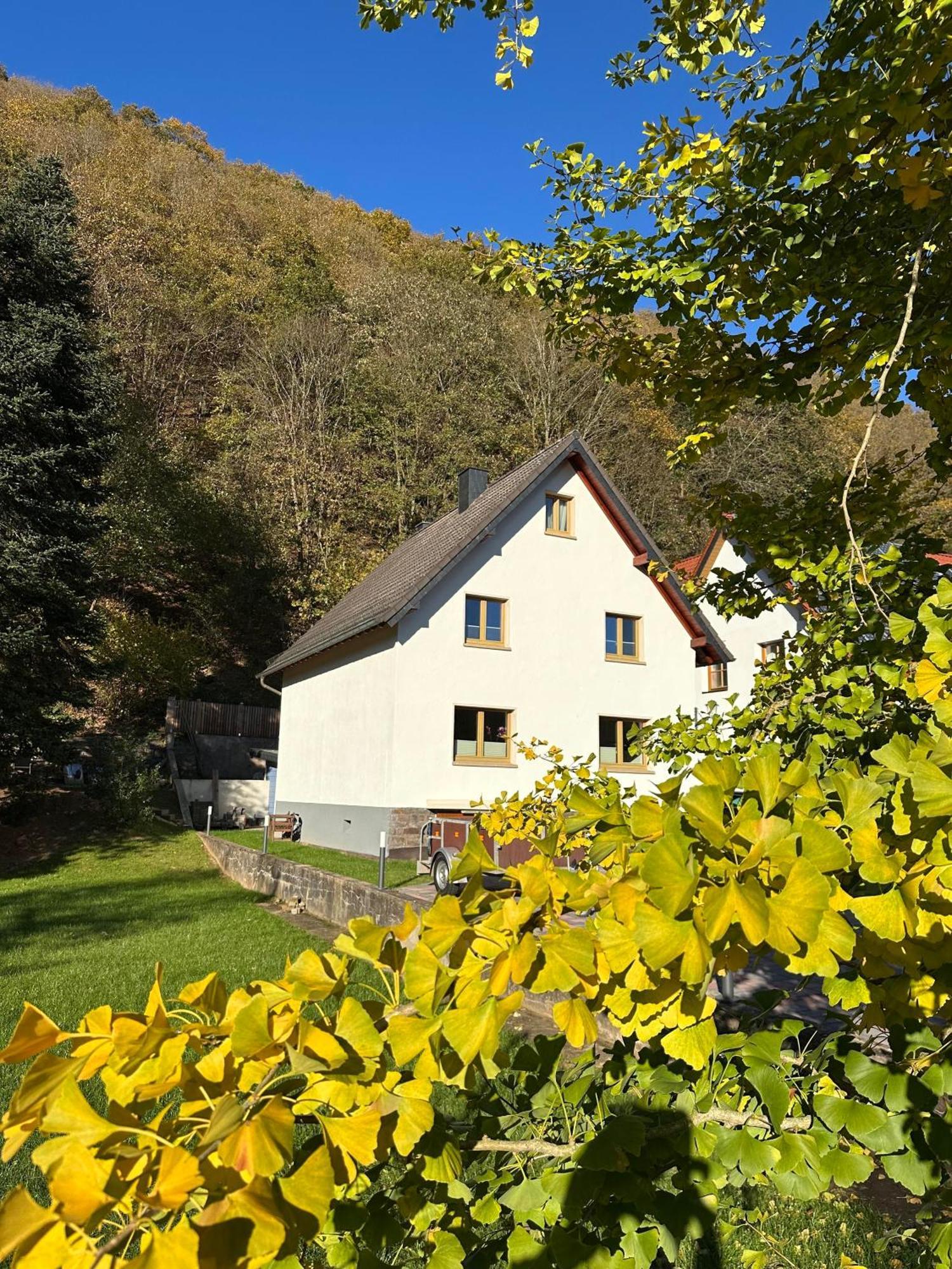 Ferienhaus Ginkgo Biloba Malsbenden Zewnętrze zdjęcie