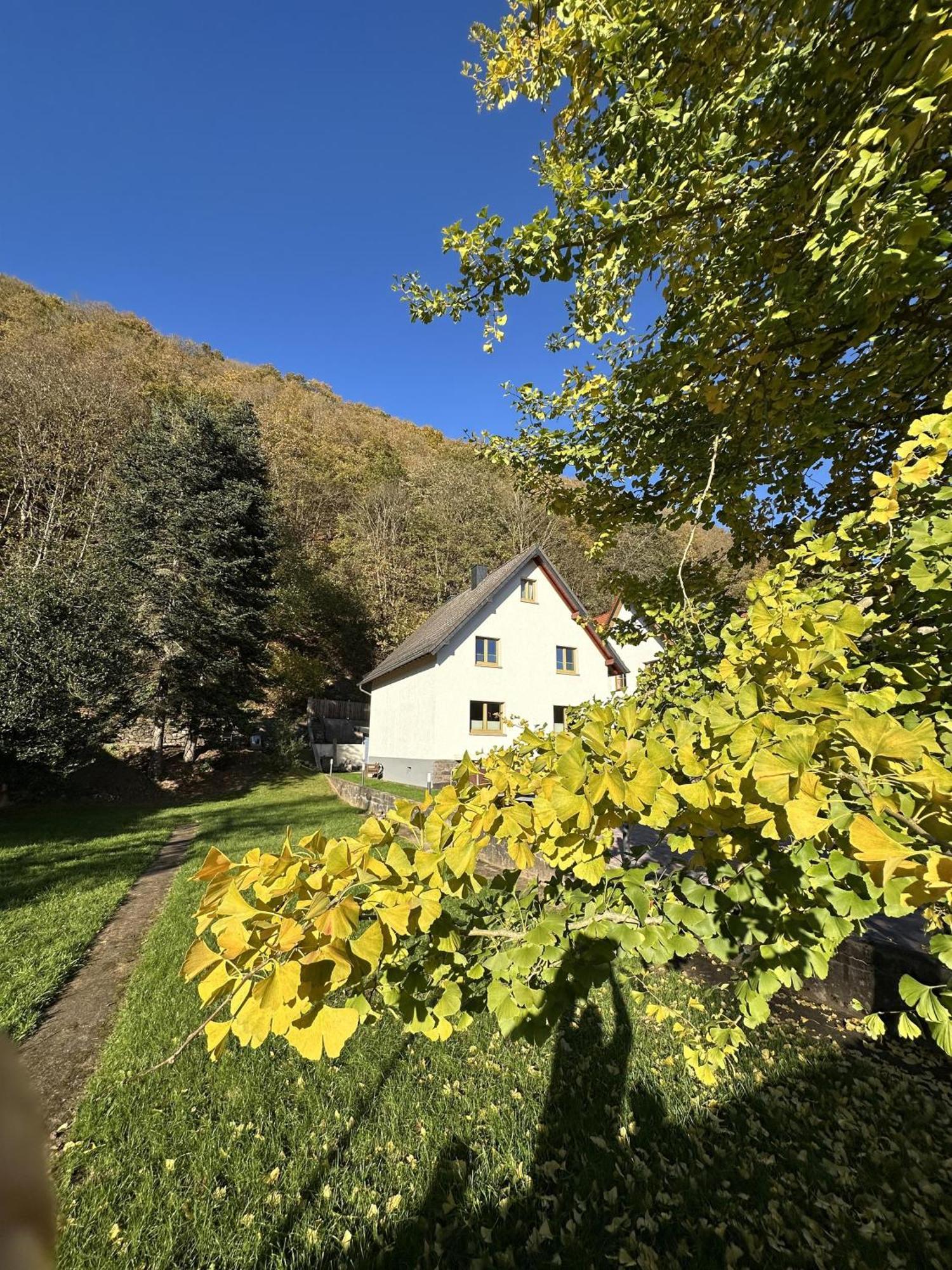 Ferienhaus Ginkgo Biloba Malsbenden Zewnętrze zdjęcie
